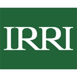 International Rice Research Institute (IRRI) Logo