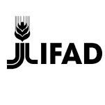 International Fund For Agricultural Development Logo