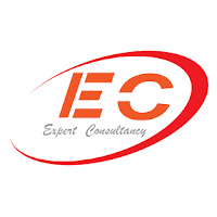 Expert Consultancy Tanzania Logo